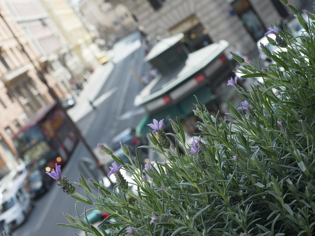 Corso Vittorio 308 Bed and Breakfast Rome Buitenkant foto